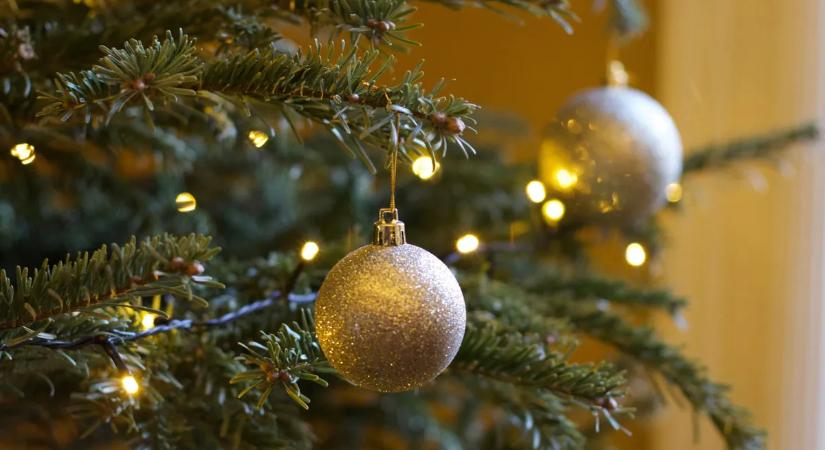 Fenyőfát vásárolna? Ennyibe kerül