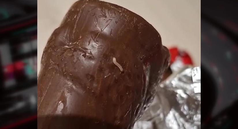 Gyomorforgató: kukacos volt a csokimikulás Hajdúböszörményben