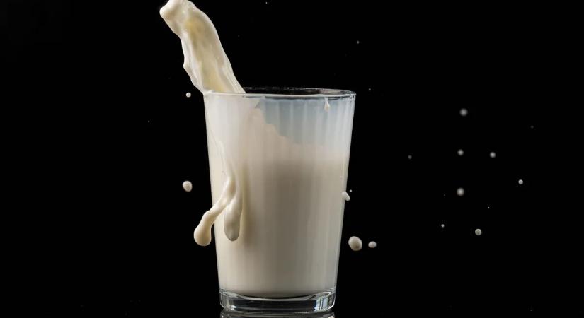 Itt a vadonatúj szuperital, ami százszor jobb az anyatejnél