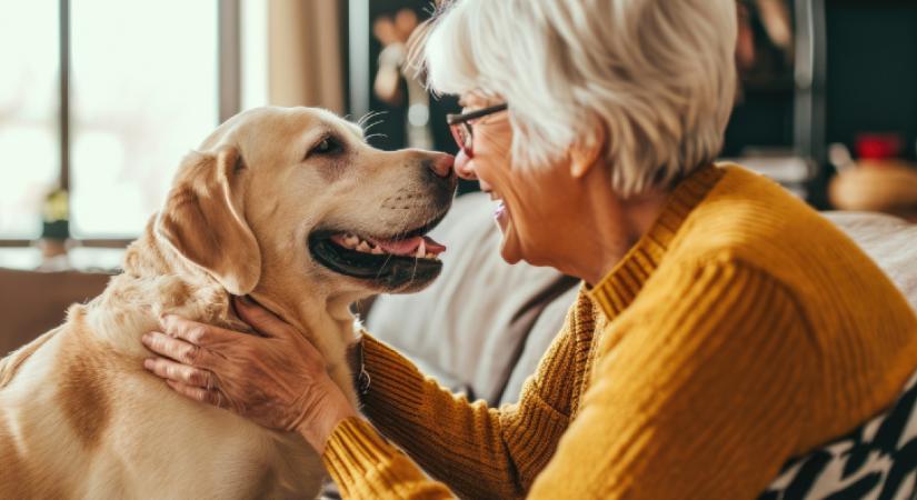 Így óvja a háziállattartás kognitív képességeinket