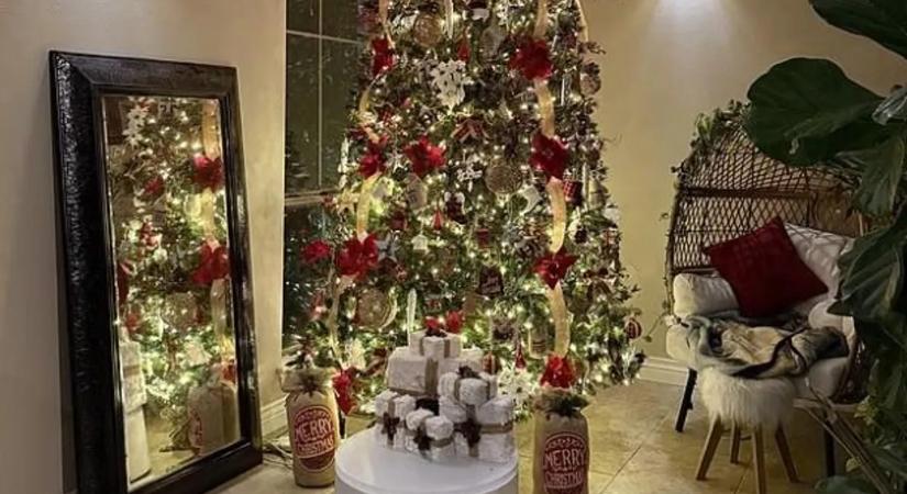 30 másodperces karácsonyi kihívás: Ön látja a képen a rejtőzködő macskát?