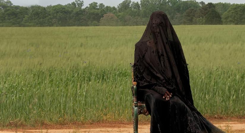 2025 a horror éve volt: ezekre a filmekre gugliztak a legtöbben