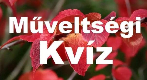 Műveltségi kvíz: Elmebajnokság, hány pontod lesz? (630)