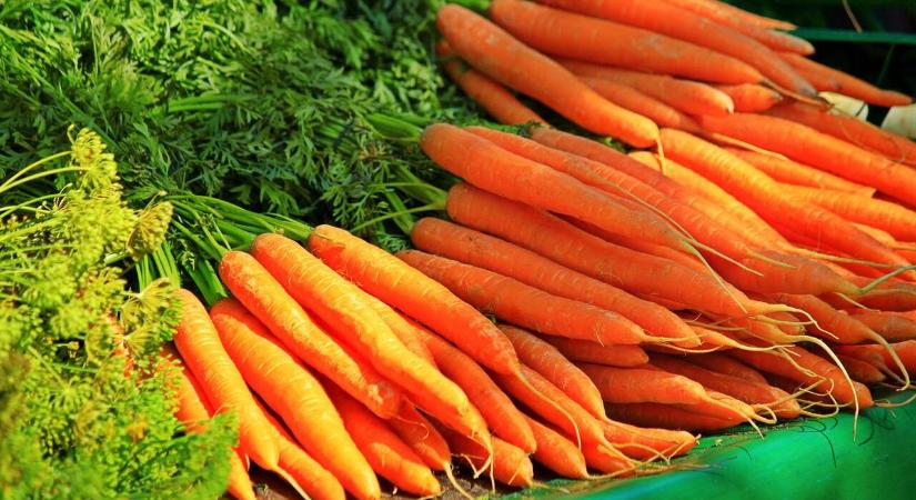 Miért fonnyadnak meg a gyökérzöldségek a tárolás során?