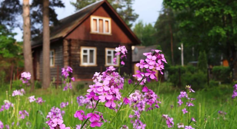 Díjat vezetne be a város a betelepülők számára