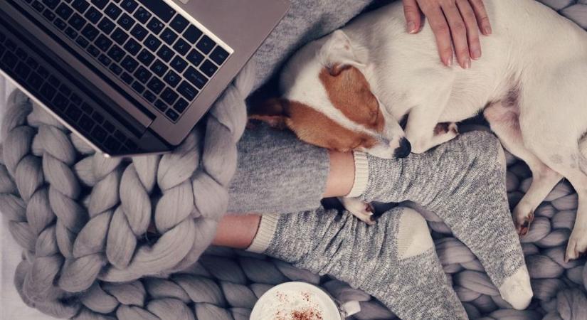 Mielőtt kilépsz az ajtón: itt a mai napi infócsomag