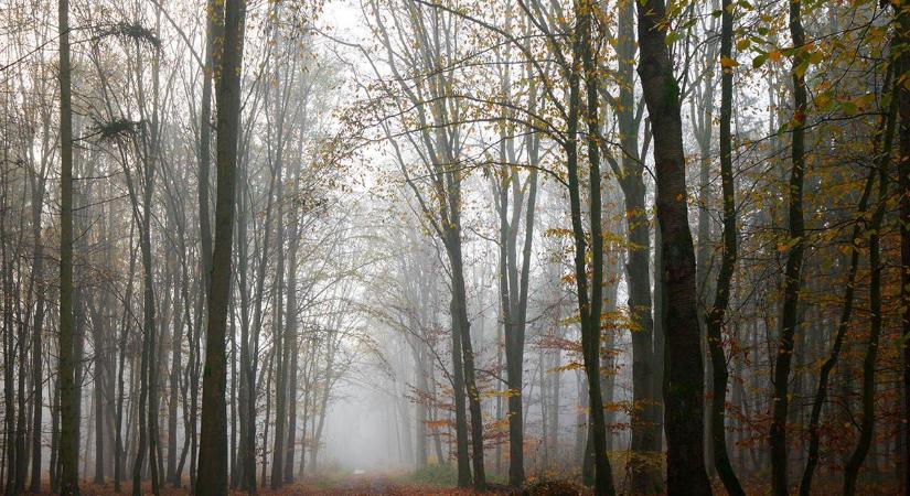 Milyen lesz a mai időjárás Pécsen? Borult ég, csapadék– és egy kis esti fordulat!