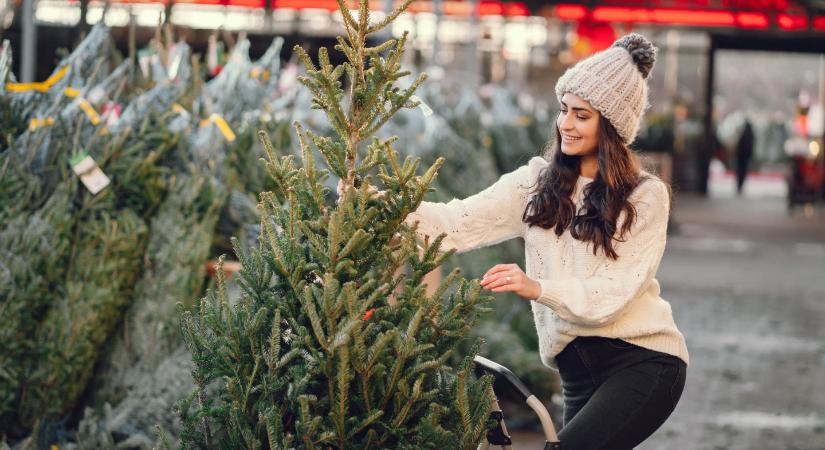 Tippek, hogy biztosan megtaláld a tökéletes fát karácsonyra