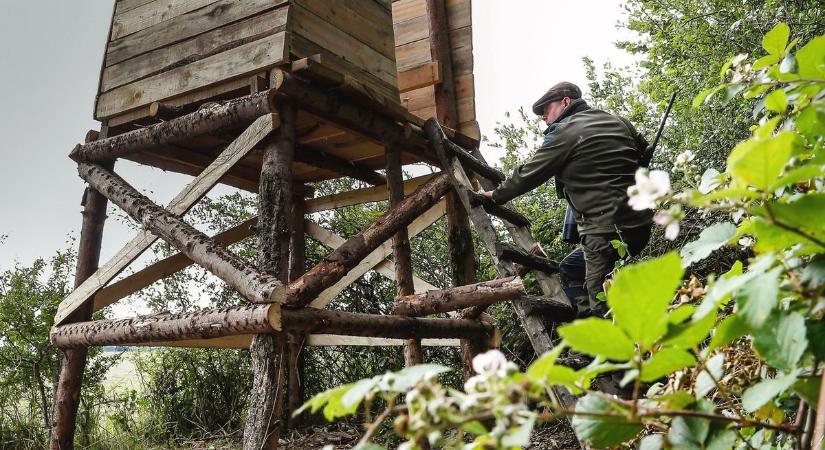 A SEFAG figyelmeztet: átmeneti útlezárás a Zselicben!