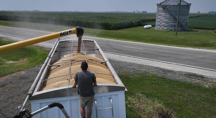 Trump hatalmas öngólt rúgott a szójapiacon