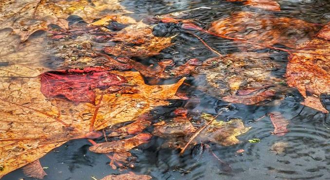 Nyugaton derült idő, keleten csapadék vár ránk vasárnap