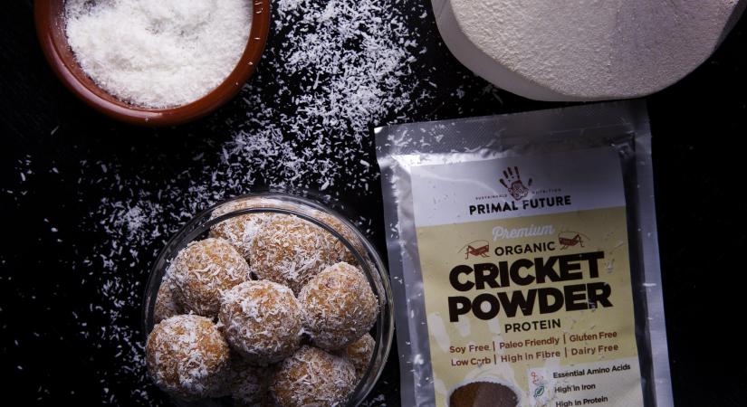 Magyar vizsgálatok szerint alacsony a fehérjeporok nehézfém-tartalma