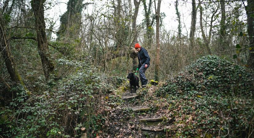 Teljesen megbolondul az időjárás: ez vár Magyarországra december második hetében