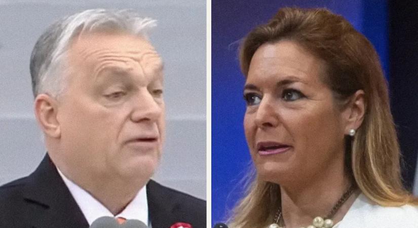 Szájkarate: „Átteleltek a poloskák” vs. „A saját lakásában is fotózhatott csótányt”