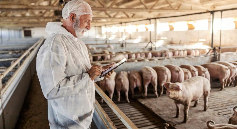 Terjed a gyilkos kór az ukránoknál: ez már az ágazat jövőjét is fenyegeti