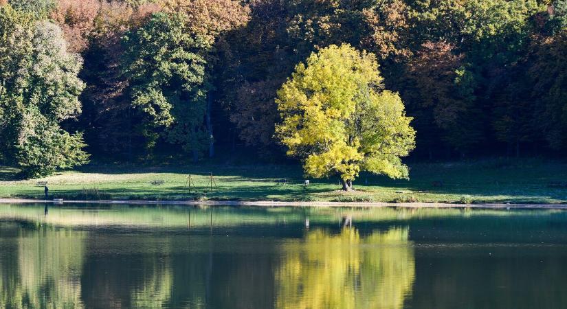 Veszélyes élősködőt mutattak ki egy szlovákiai víztározó vizében