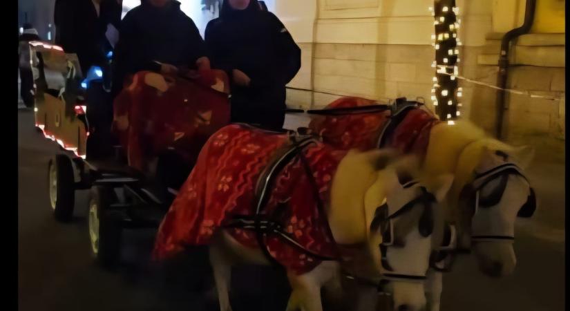 Buday Mária: Az óriási póniló