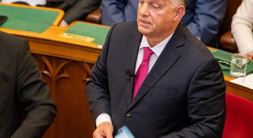 A géniusz megint megcsinálta! - Selmeci János jegyzete