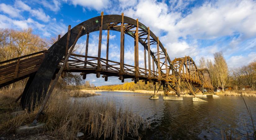 Embereket csipkedő halak jelentek meg a Balatonnál: agresszívabb fajokat is azonosítottak, ezzel kezdeni kell valamit