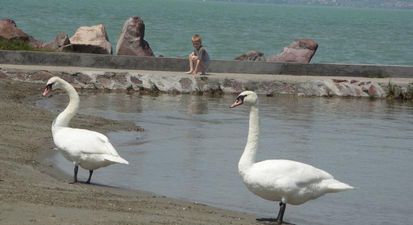 Versenyfutás az idővel: meg vannak számlálva egy balatoni település percei