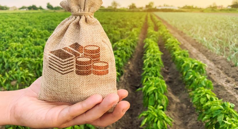 Fontos kijelentést tett Nagy István a magyar mezőgazdaságról