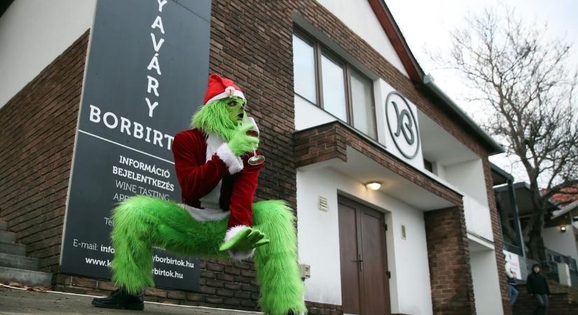 Váratlan zöld vendég érkezett a zalai borbirtokra! Rá senki sem számított