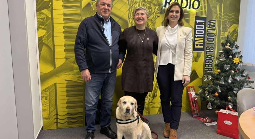 Mindenkit vár a Jótékonysági Faház a győri adventi vásárban