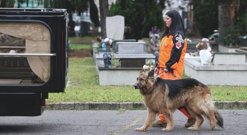 Aggódunk Hope miatt - Lehoczki Spider László özvegye megszólalt a kutya állapotáról