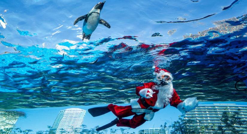 Lego Trump, búvár Mikulás, bohócok a hét képein