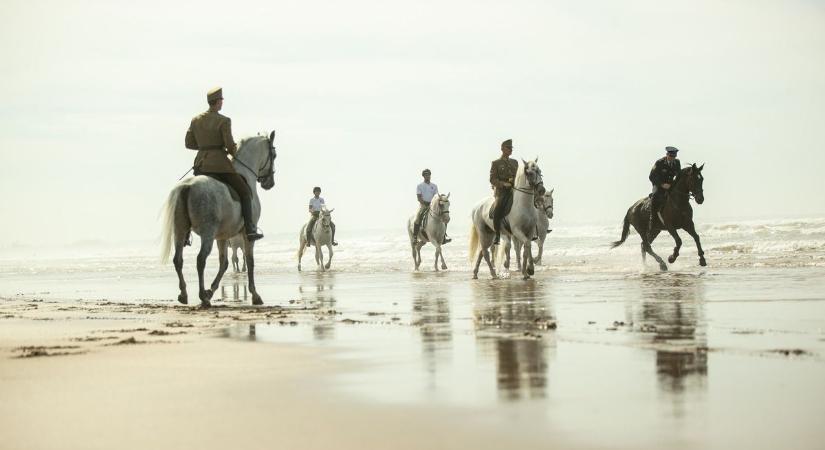 Ámulat Marokkóban: a magyar lovas csapat olyan show-t vitt, hogy a mentők is beijedtek!