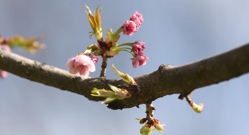 Melegrekord dőlt meg Magyarországon