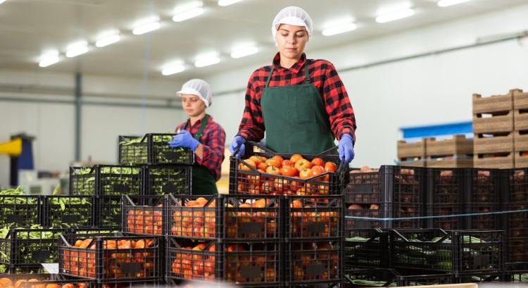 Újraindul a TÉSZ Forgóeszköz Hitelprogram!