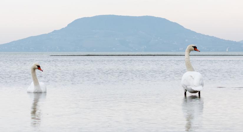 Gyökeres változás kell, vagy annyi lesz a Balatonnak? Kiderült, mit is terveznek a magyar tengernél