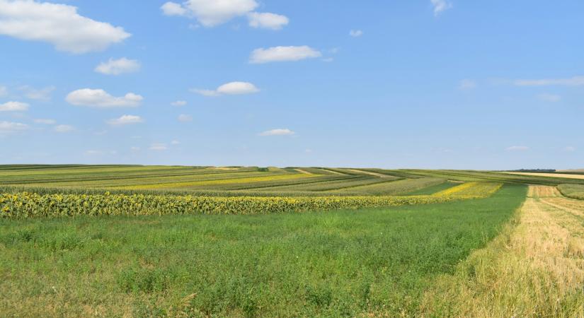 Bioökonómia: az EU új reménye és új kockázata