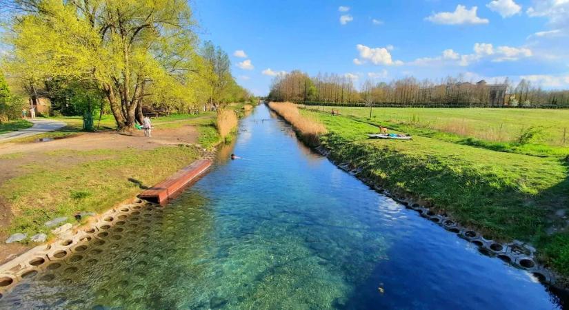 Embereket csipkedő hal jelentek meg a Balatonnál, de van egy aggasztóbb fejlemény – ezt kell tudnia mindenkinek