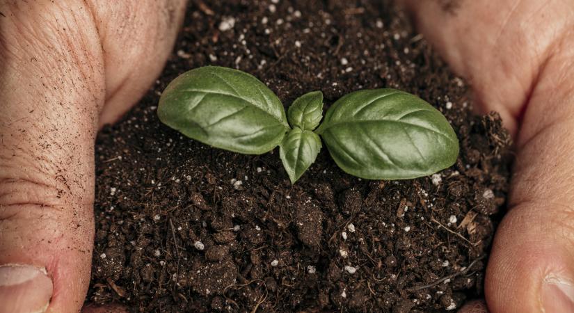 A termőtalaj az egyik legnagyobb stratégiai vagyonunk