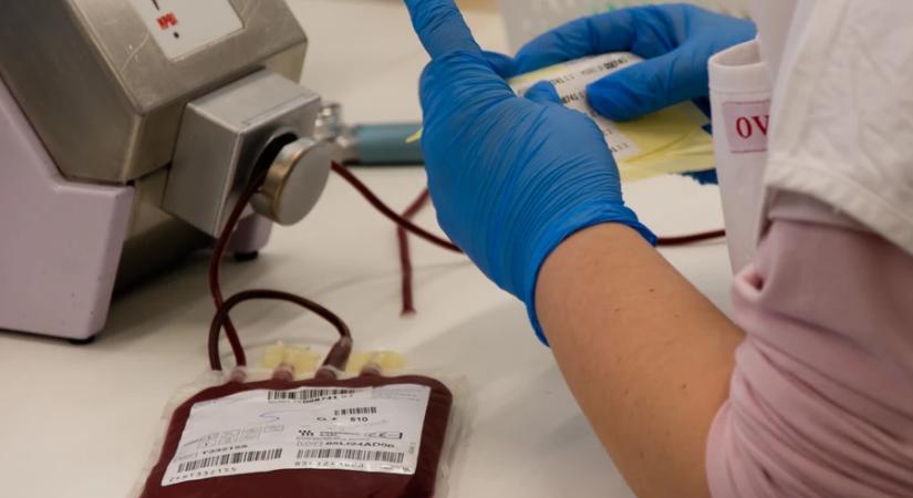 Véradások Zala vármegyében december 8-12. között