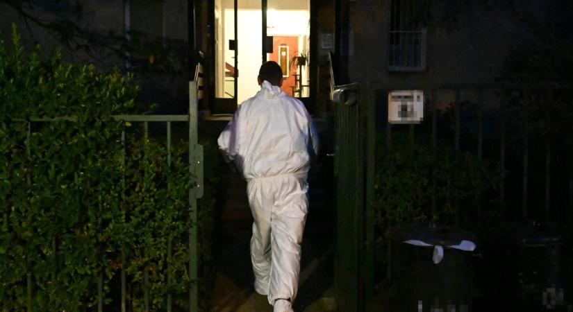 Együtt akart meghalni a budai házaspár, az idős férfi azonban megmentették: a Lepke utcai ügyben döntött a bíróság