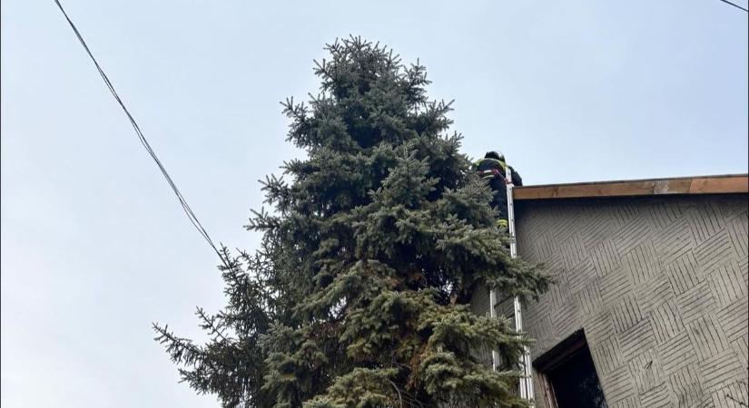 Egy családi házhoz hívták a tűzoltókat, de arra nem számítottak, amit ott találtak