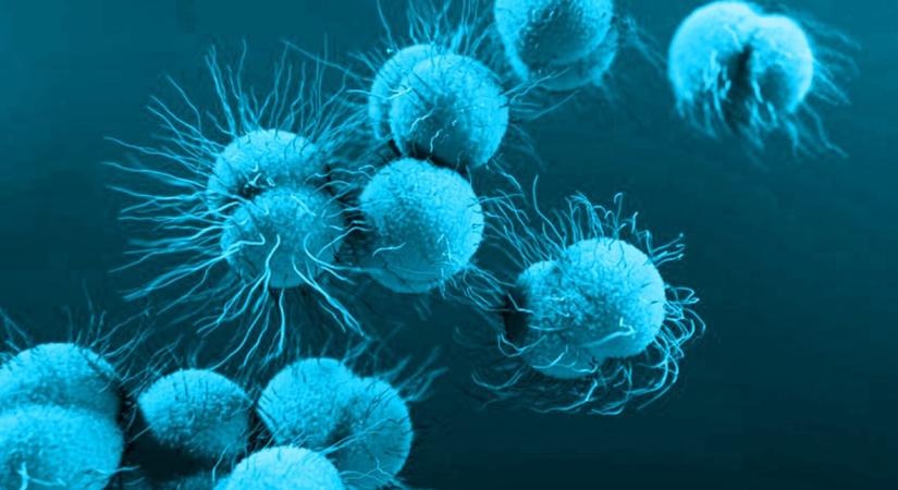 Izgalmas lehetőségeket vet fel az orvosi felfedezés: génként is működhet a bélmikrobiom