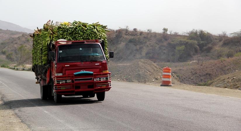 A magyarok luxusgyümölcse, amiért kígyóztak a sorok a szocializmusban