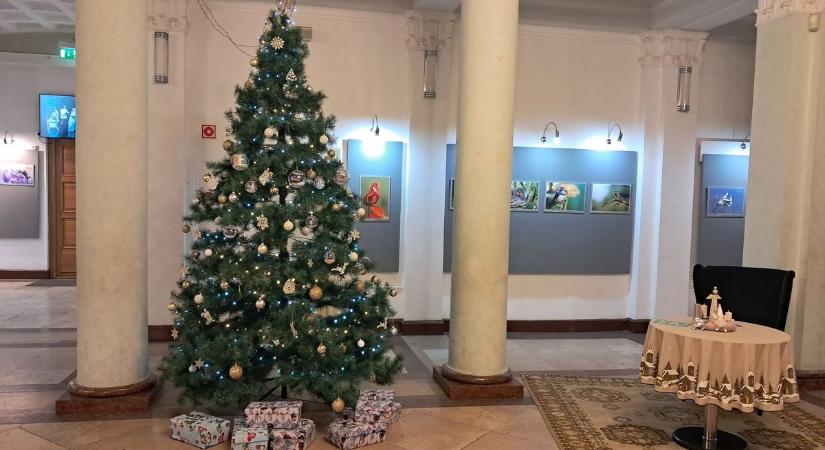 Cipősdoboznyi szeretet a Bartók Színház karácsonyfája alatt