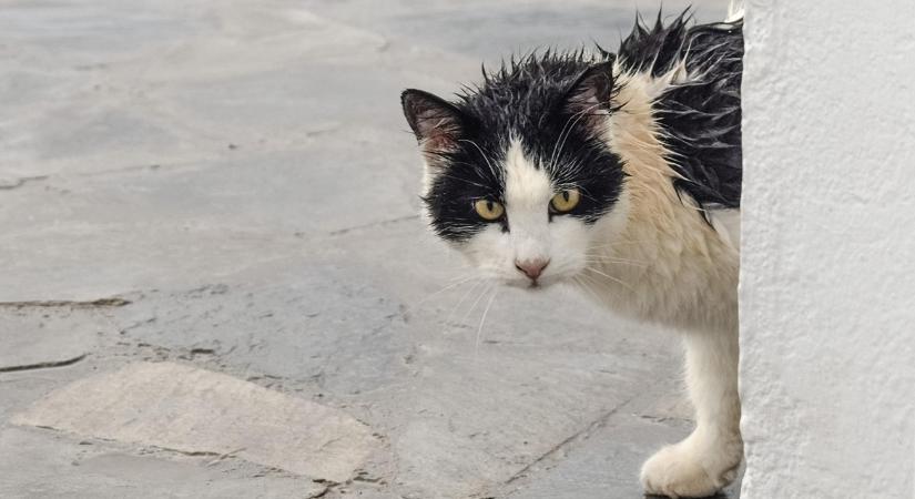 Időjárás: Hajnalra bekúszik fölénk a front – ezt hozza magával VIDEÓ