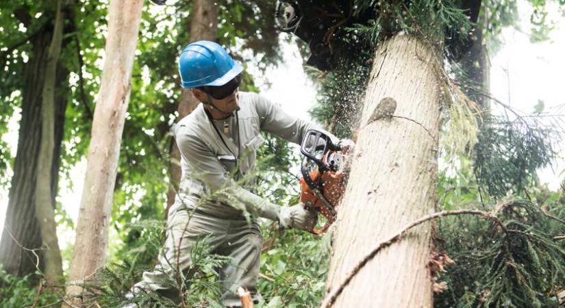 Veszélyben lehetsz, ha itt akarsz kirándulni decemberben
