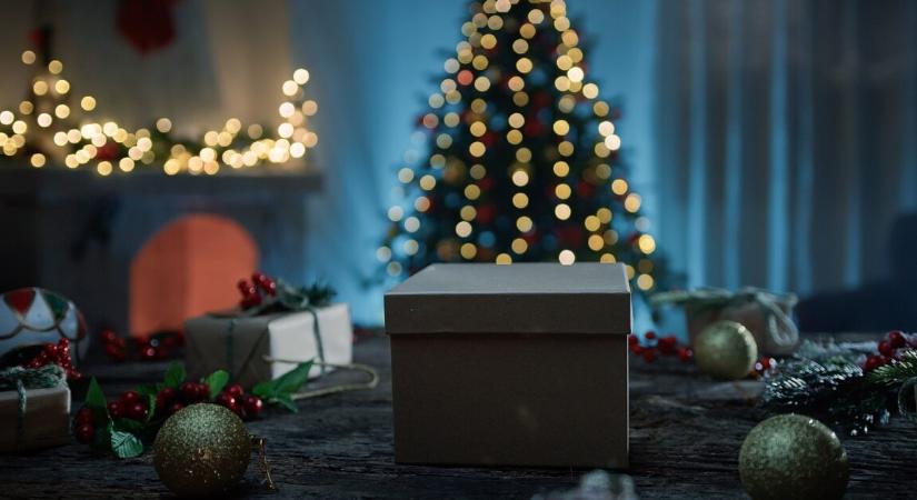 Egy 11 éves kislány 1,7 milliós karácsonyi listája, majd beindult a lavina