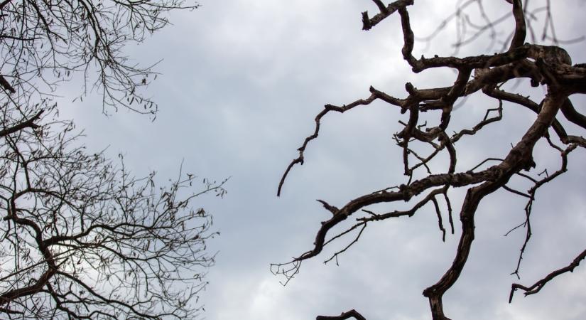 Felhő, felhő, felhő