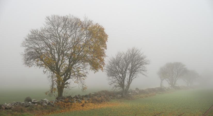 Eddig tartott a tél? Újabb fordulatot vett az időjárás, ezt már nehéz követni