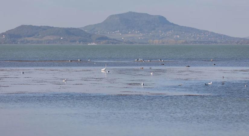 Ezek a forgatókönyvek a Balaton jövőjével kapcsolatban – kiszárad-e a magyar tenger?