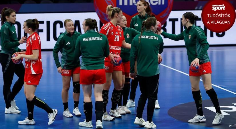 Női kézilabda-világbajnokság: Magyarország–Dánia