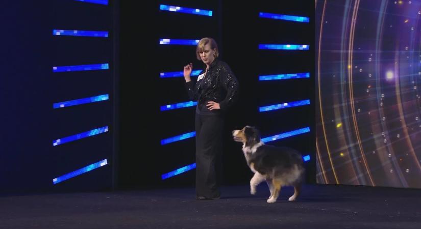 „Azt hittem, gyökér vagyok” – Molnár Áron ledöbbent: elvarázsolta egy táncoló kutyás produkció